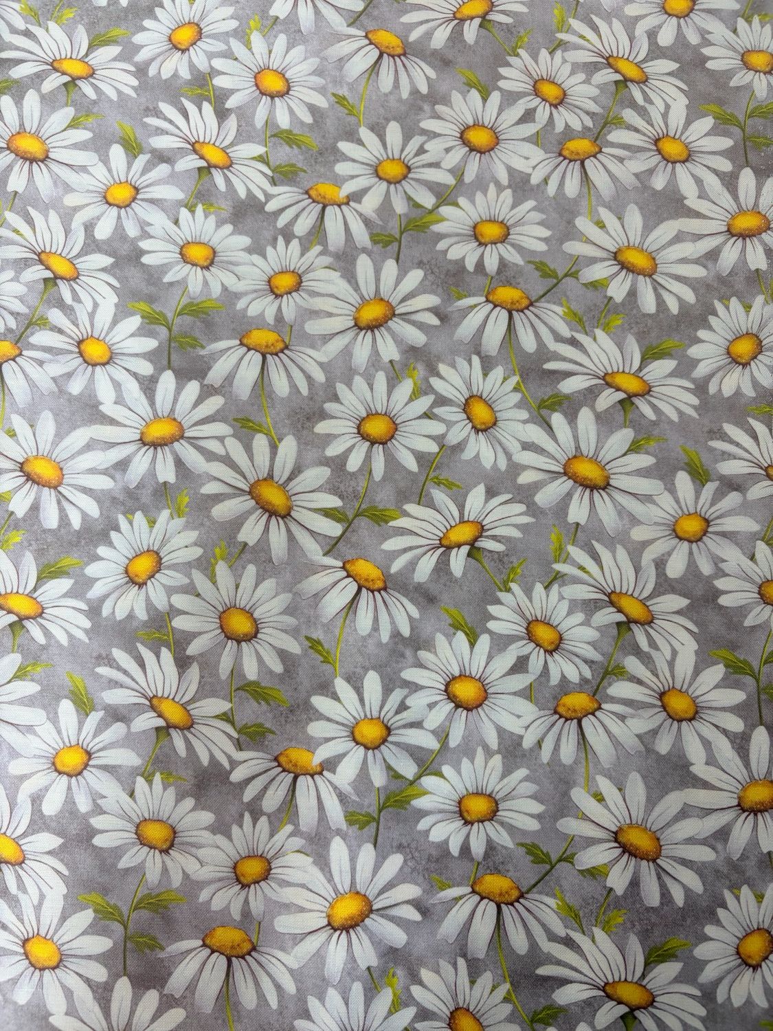 Honey Bee - Daisies