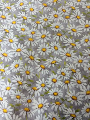 Honey Bee - Daisies