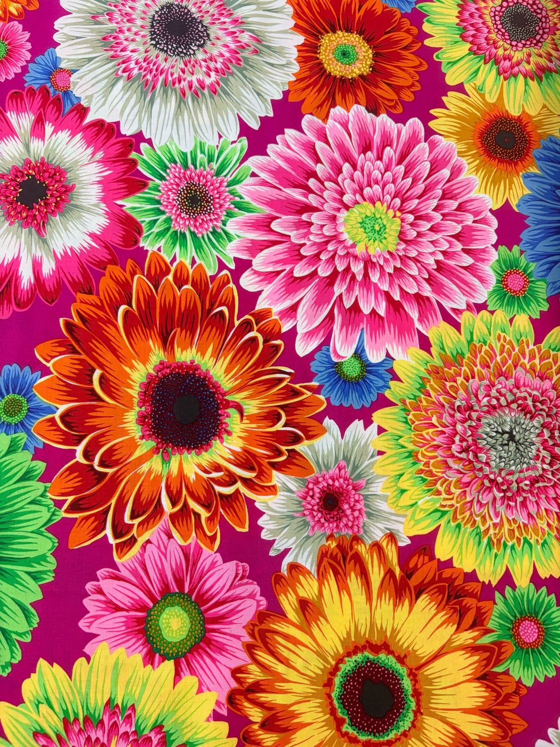 Kaffe Fassett - Gerbera Daisies - Bright