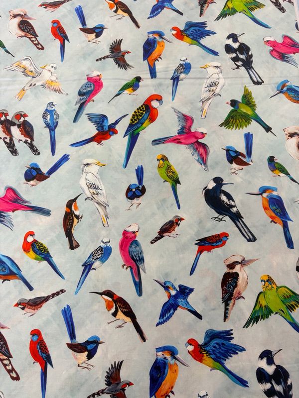 Birds Of A Feather - All The Birds