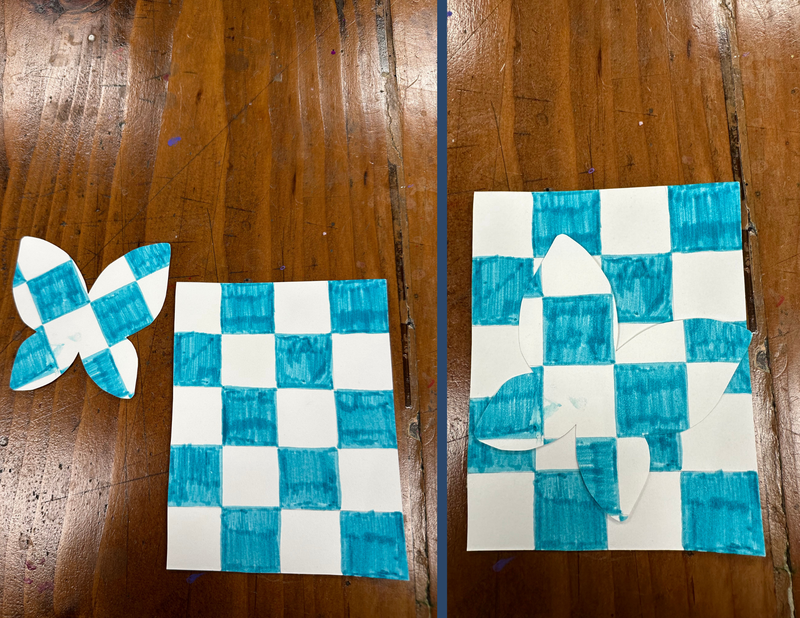 Animal Camouflage Lesson Plan