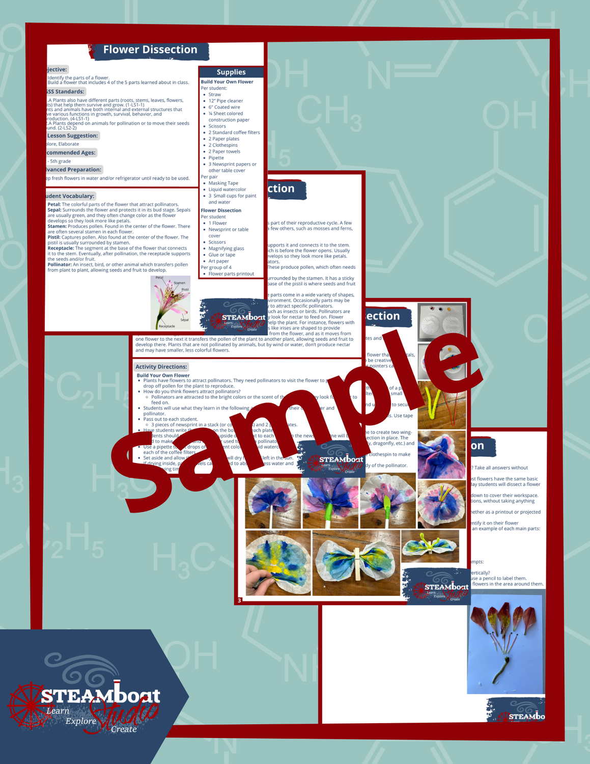 Flower Dissection Lesson Plan