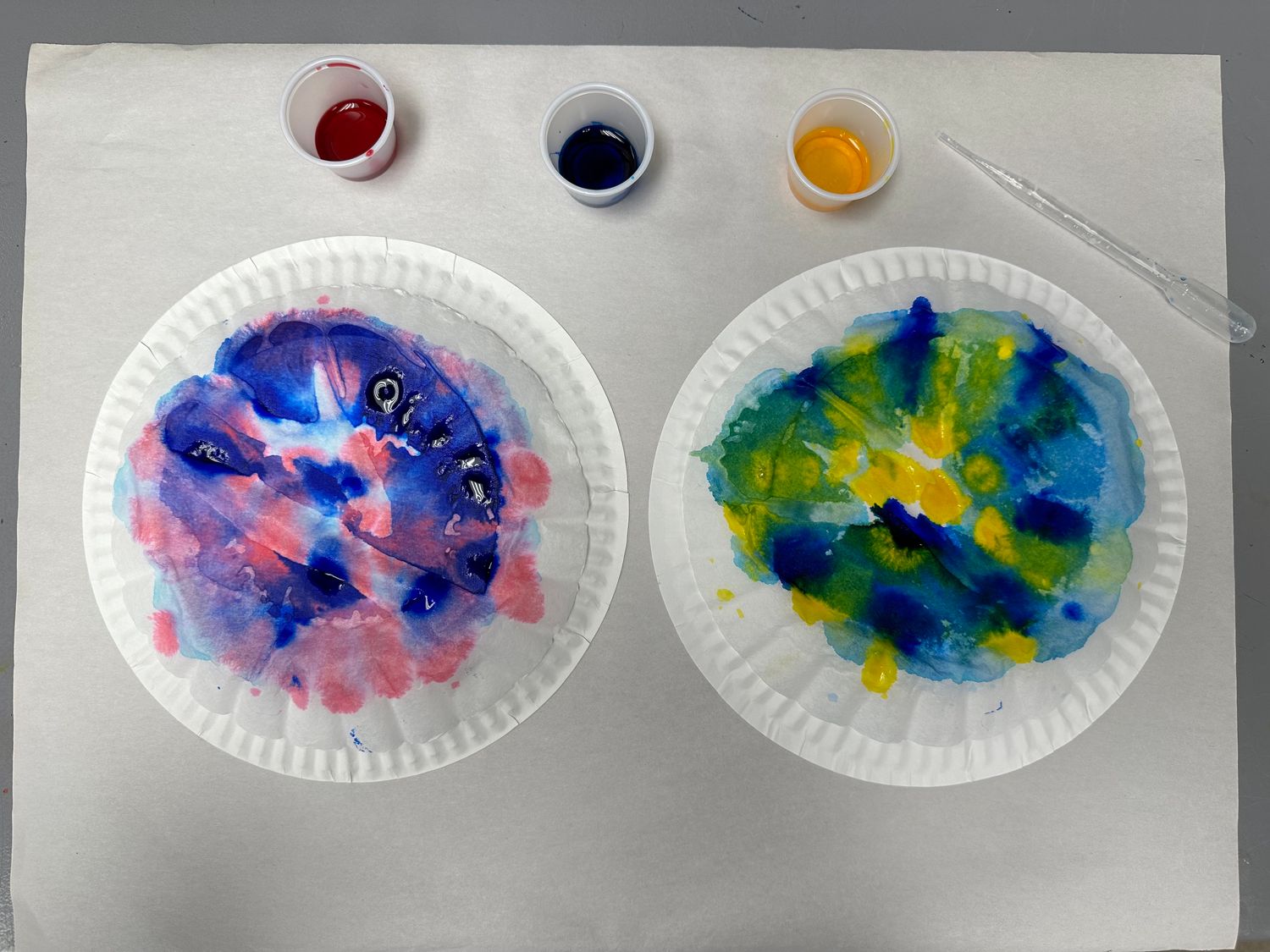 Flower Dissection Lesson Plan