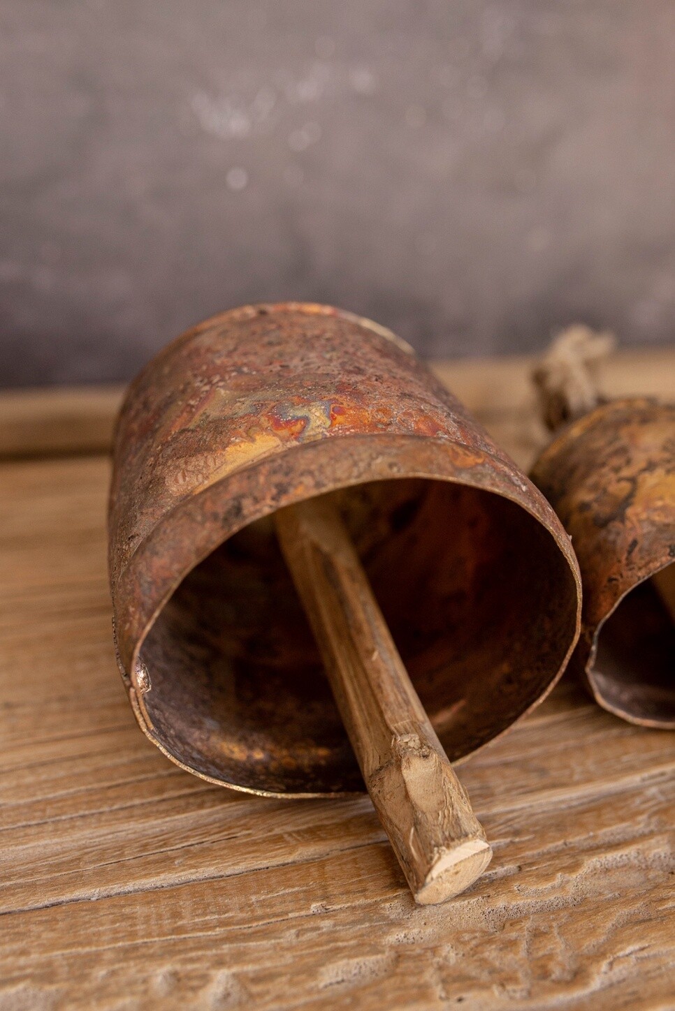 Copper Desert Bells, Size: Extra Large