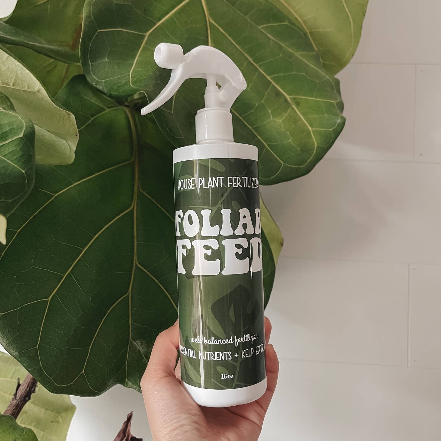 Foliar Feed House Plant Fertilizer