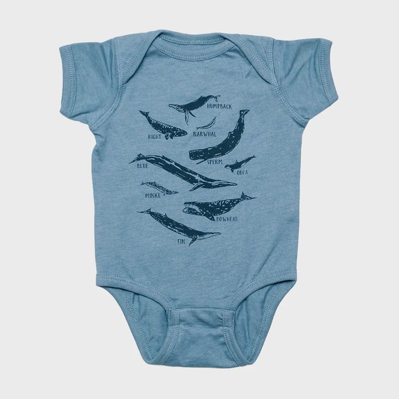 Whale Species Chart Baby Onesie