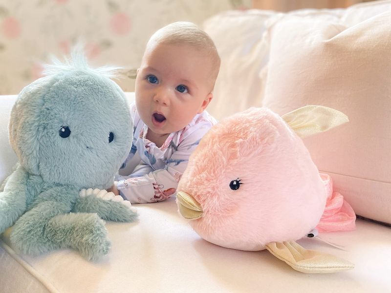 Crystal The Fish Plush Toy