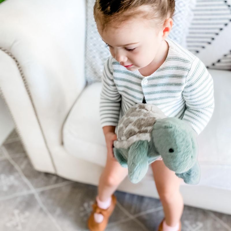 Taylor Turtle Plush Toy