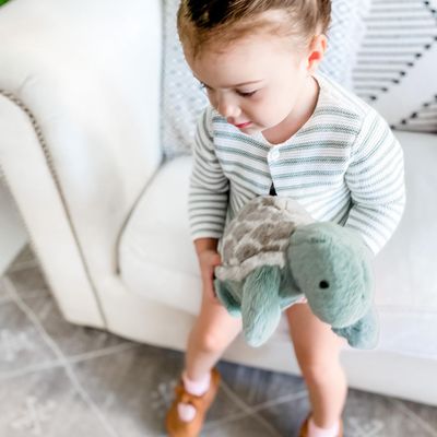 Taylor Turtle Plush Toy