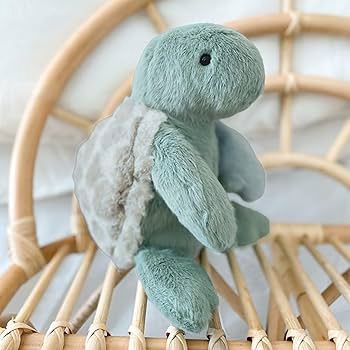 Taylor Turtle Plush Toy