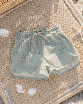 Boys Swim Short, Color: Dino, Size: 6-12M