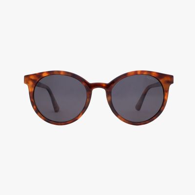 Heron Amber Tortoise Sunglasses