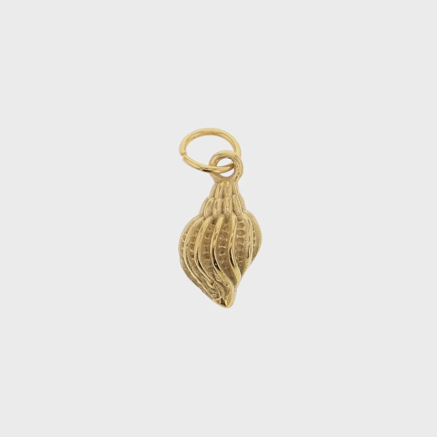 Shell Charm