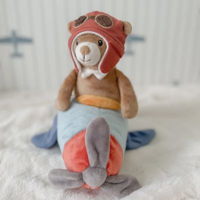 Pilot Bear and Plane