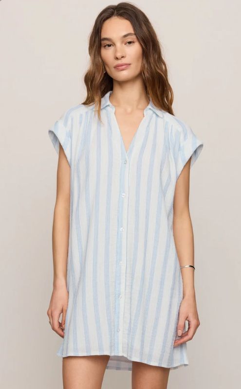 Shellbound Striped Dress