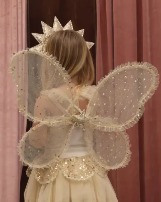 Wings Champagne Star