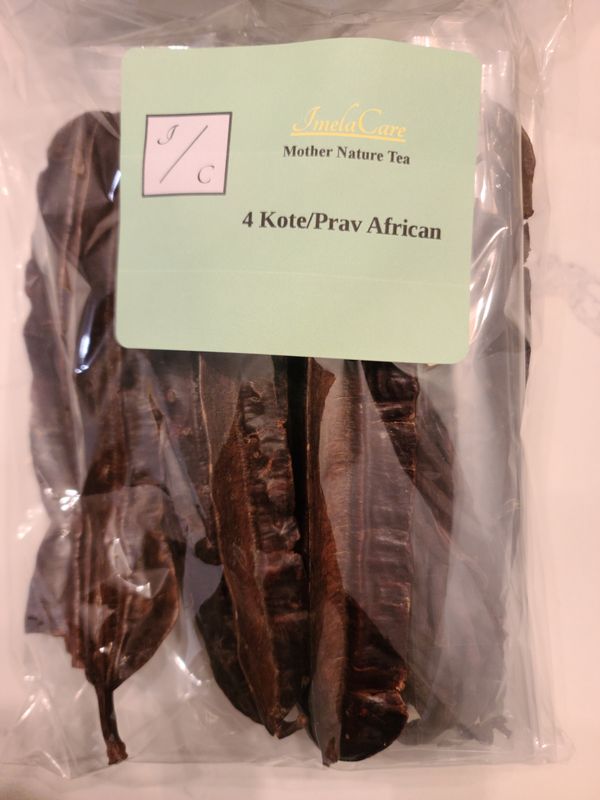 4 kote /prav african