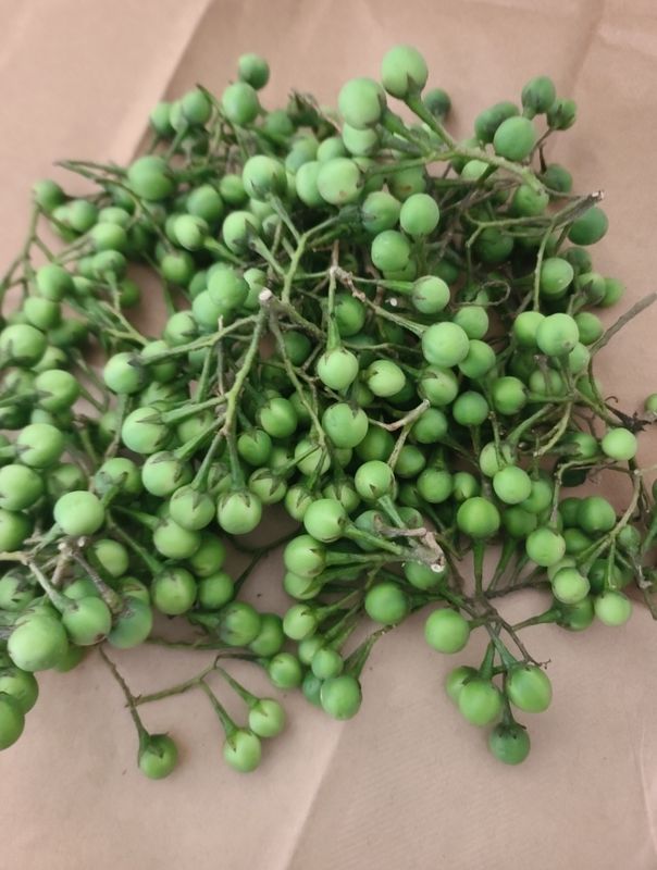 Grenn zanmoret ak fèy