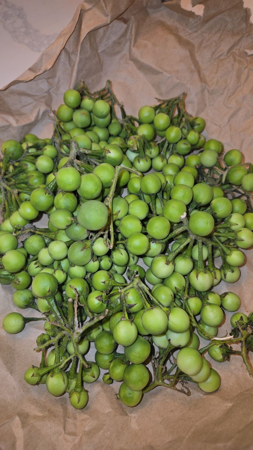 Hormone balancing tea &amp; zanmoret