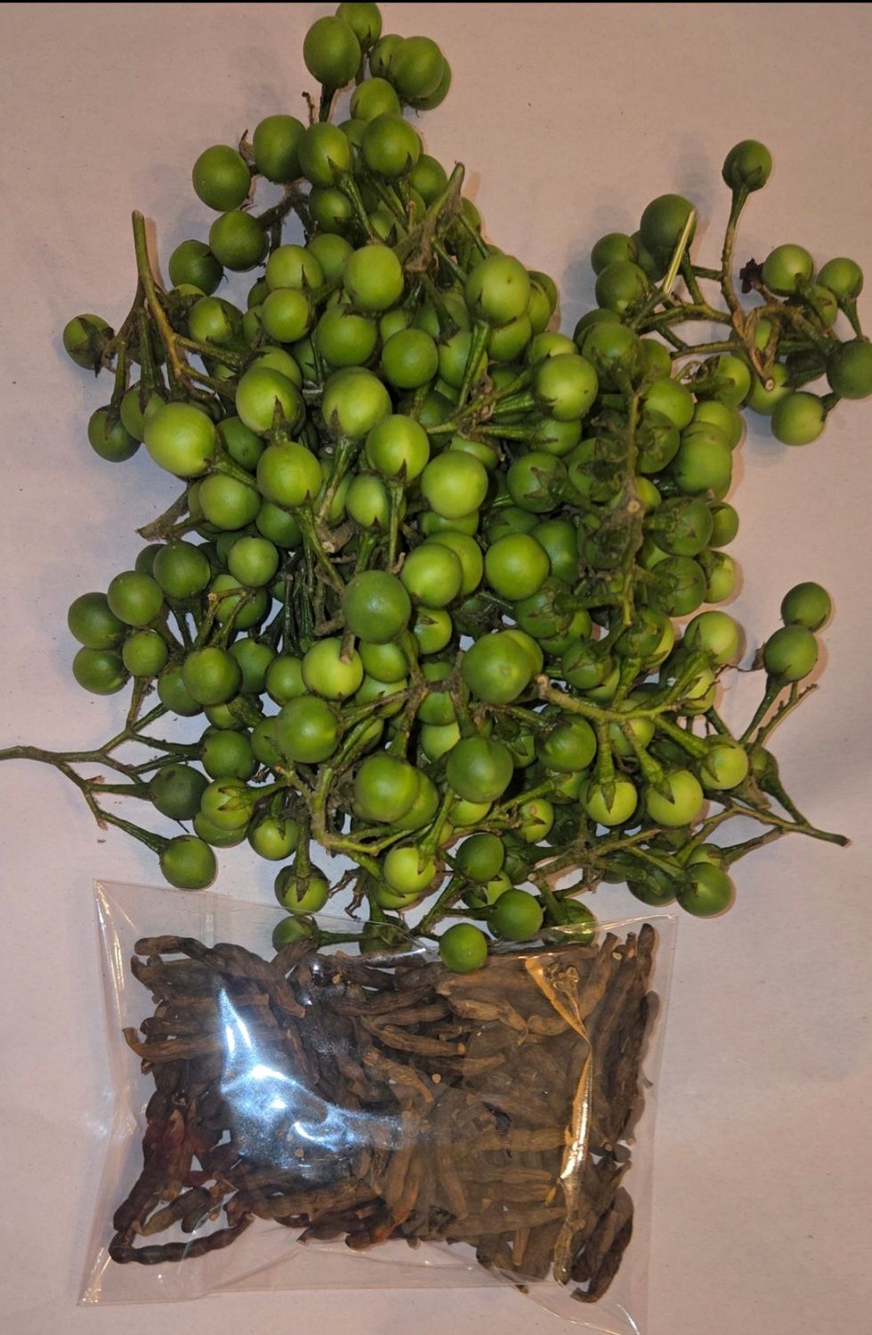 Zanmoret ak prav african