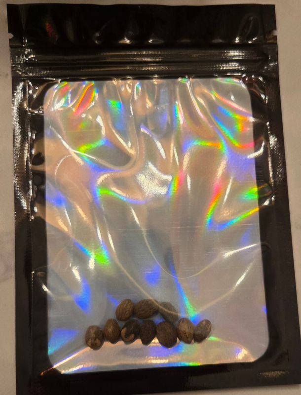 Debalonnèn seed. 10 seed per bag