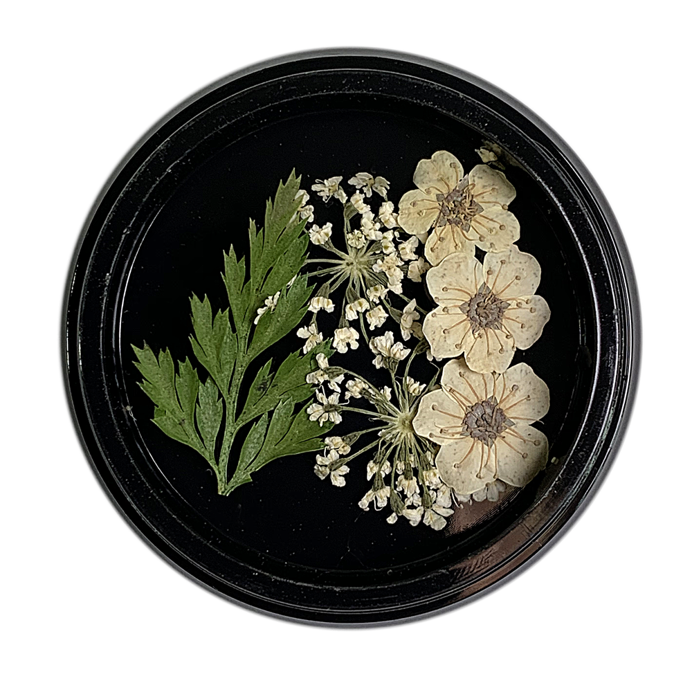 Magpie Dried Flowers // WHITE