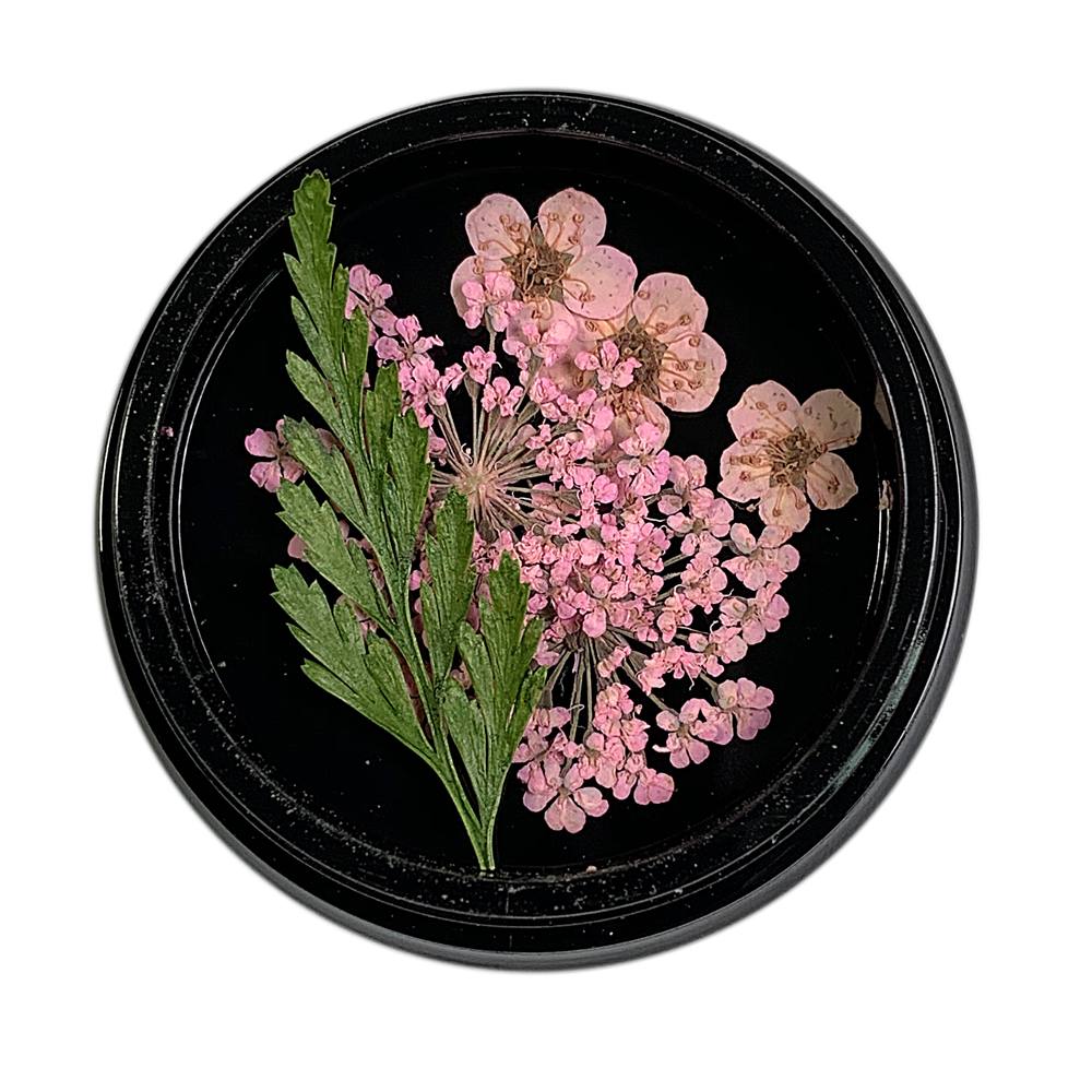 Magpie Dried Flowers // PINK