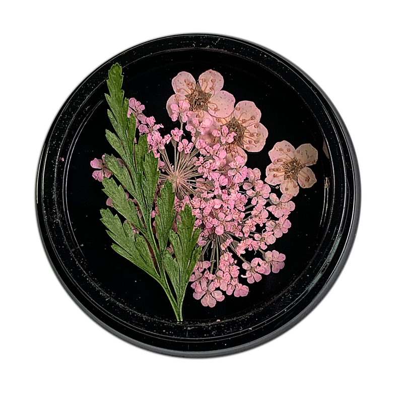 Magpie Dried Flowers // PINK