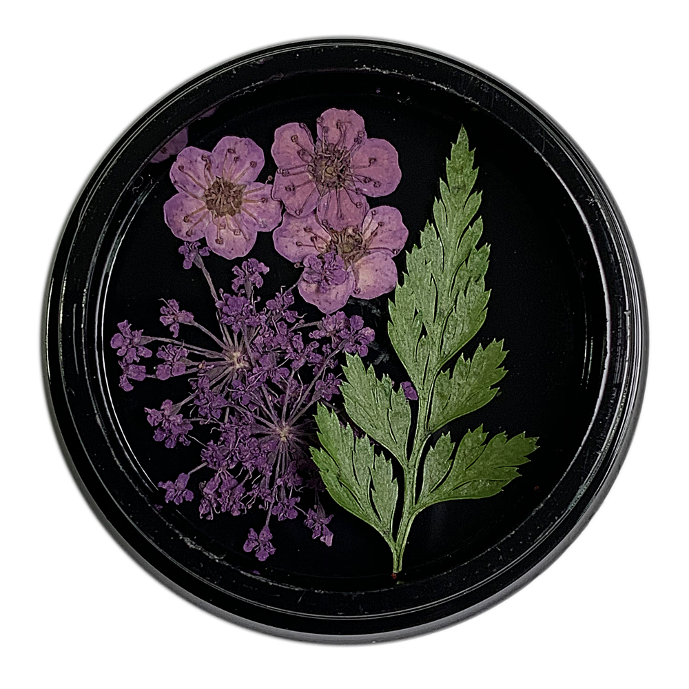 Magpie Dried Flowers // MAUVE