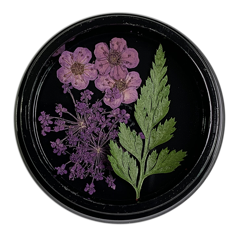 Magpie Dried Flowers // MAUVE