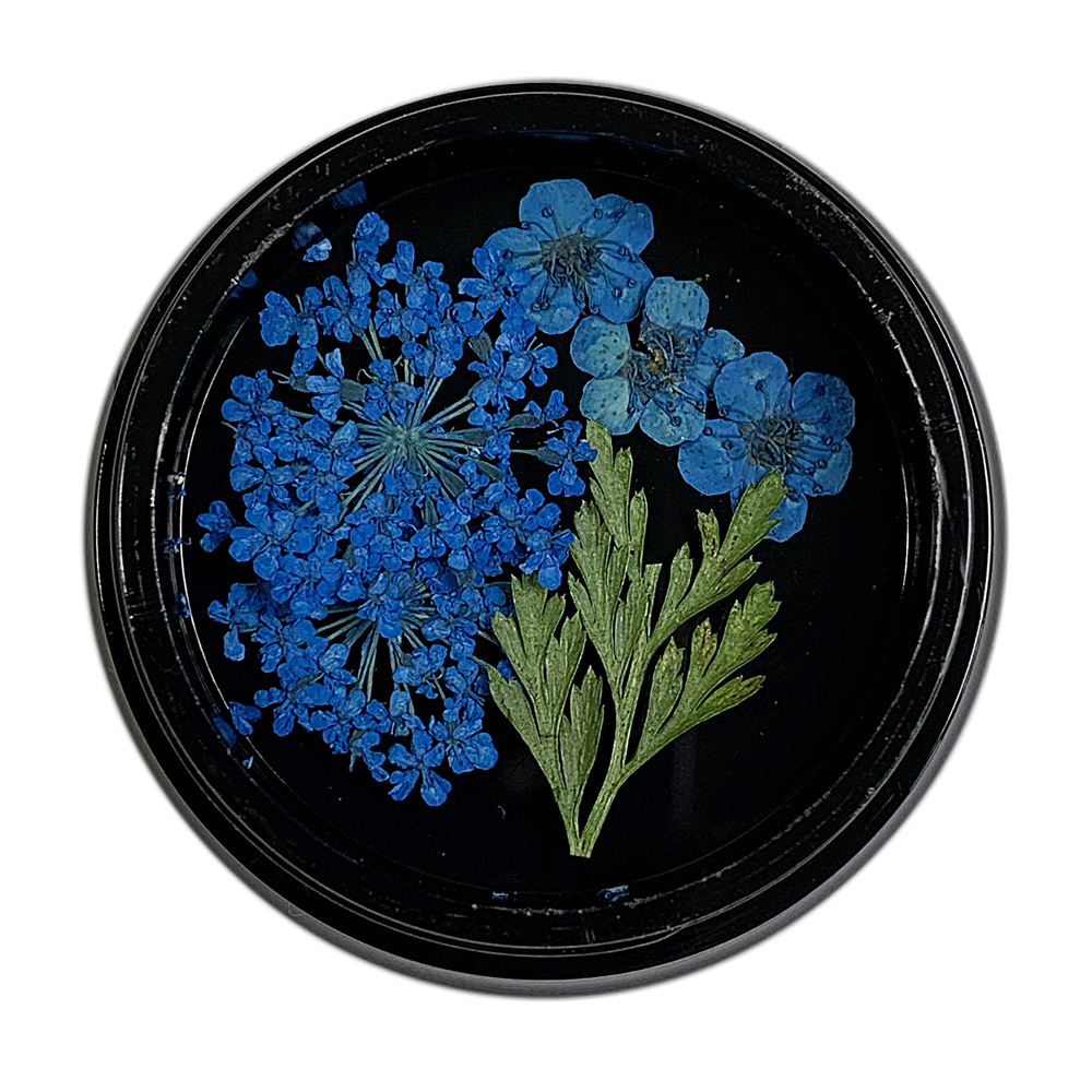 Magpie Dried Flowers // BLUE