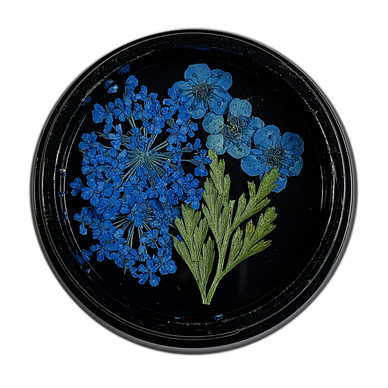 Magpie Dried Flowers // BLUE