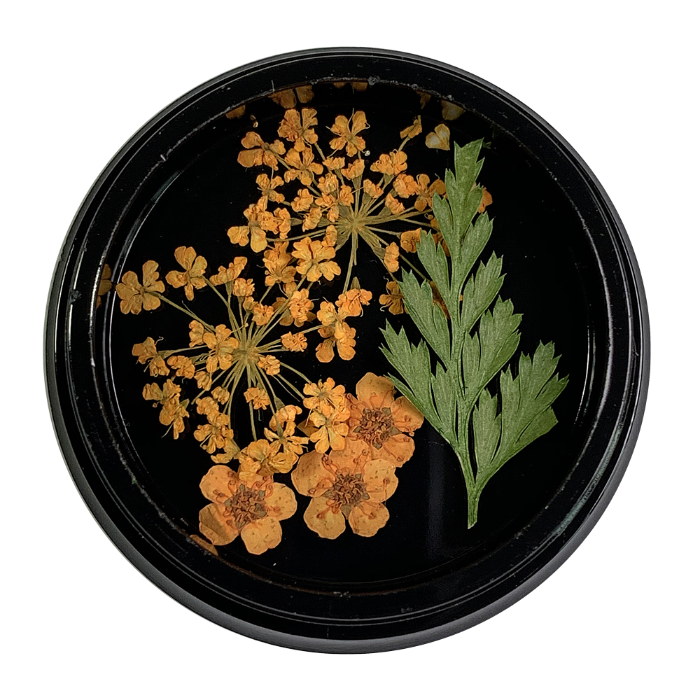 Magpie Dried Flowers // ORANGE