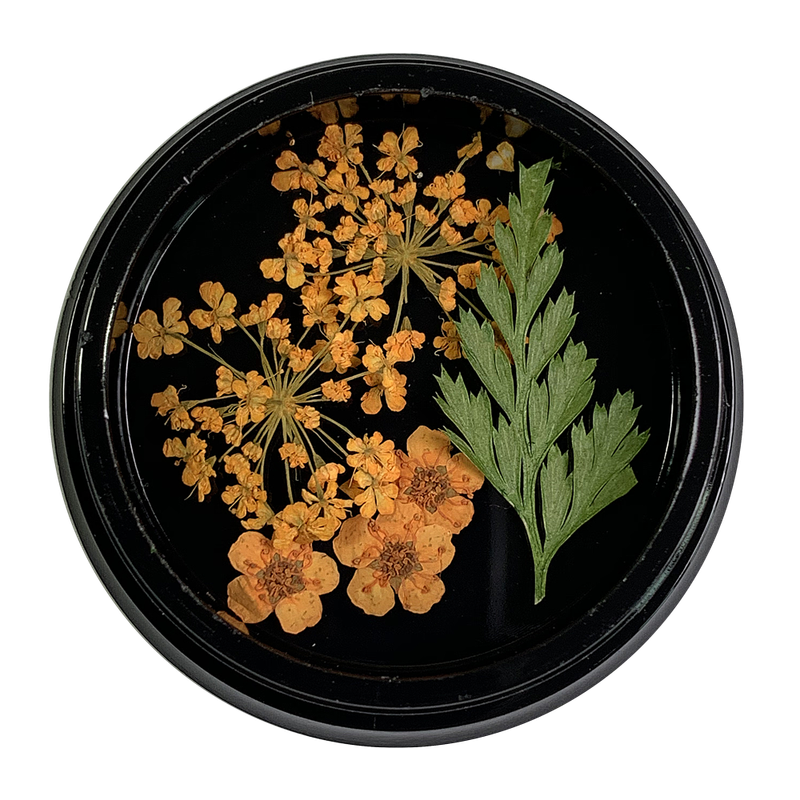 Magpie Dried Flowers // ORANGE