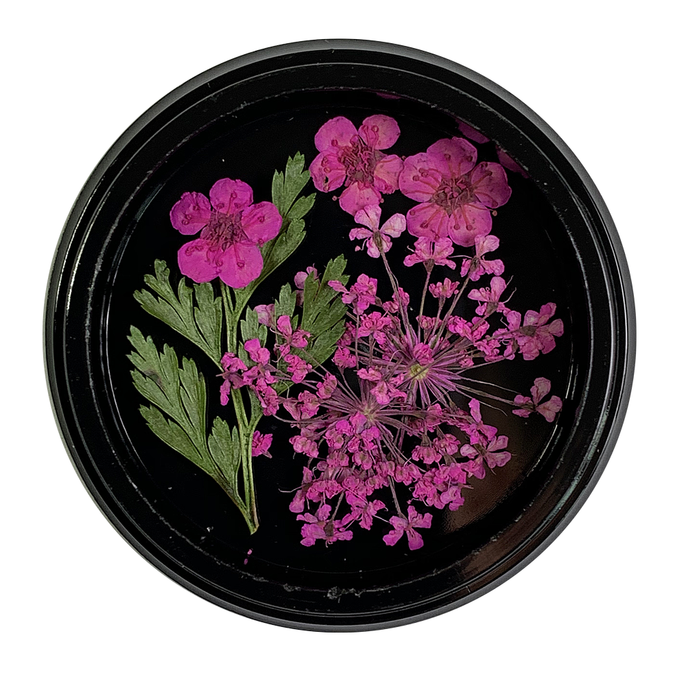 Magpie Dried Flowers // HOT PINK