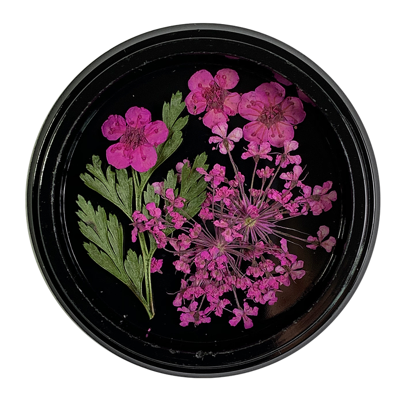 Magpie Dried Flowers // HOT PINK