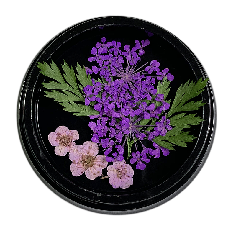 Magpie Dried Flowers // PURPLE