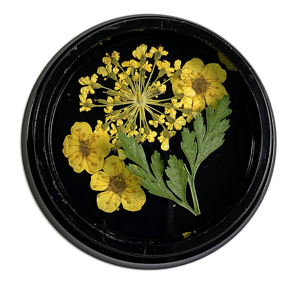 Magpie Dried Flowers // YELLOW