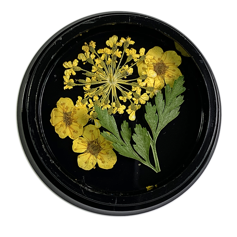 Magpie Dried Flowers // YELLOW