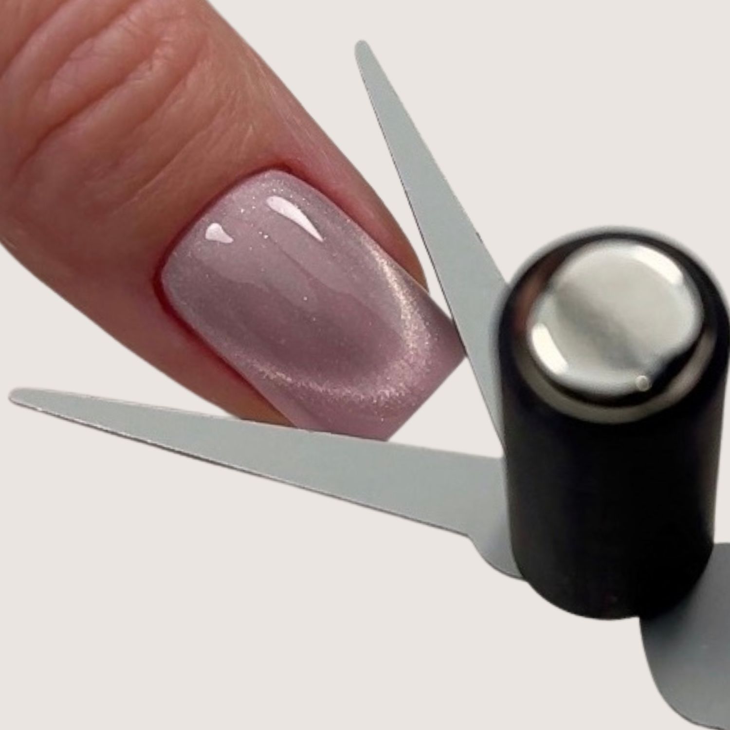 Cat Eye French Magnet