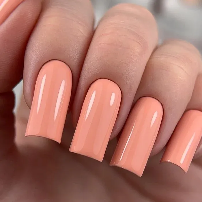 SALMON HAYKE - Uv Lakk
