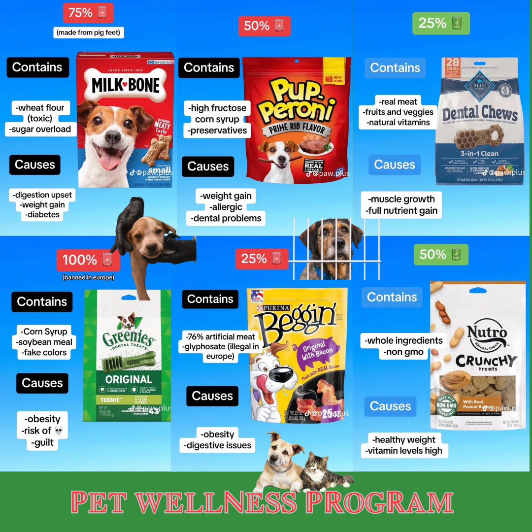 Broad-Spectrum Hemp-Derived CBD with Natural Ingredients for Your Pet’s Well-Being OMEGA-3-6