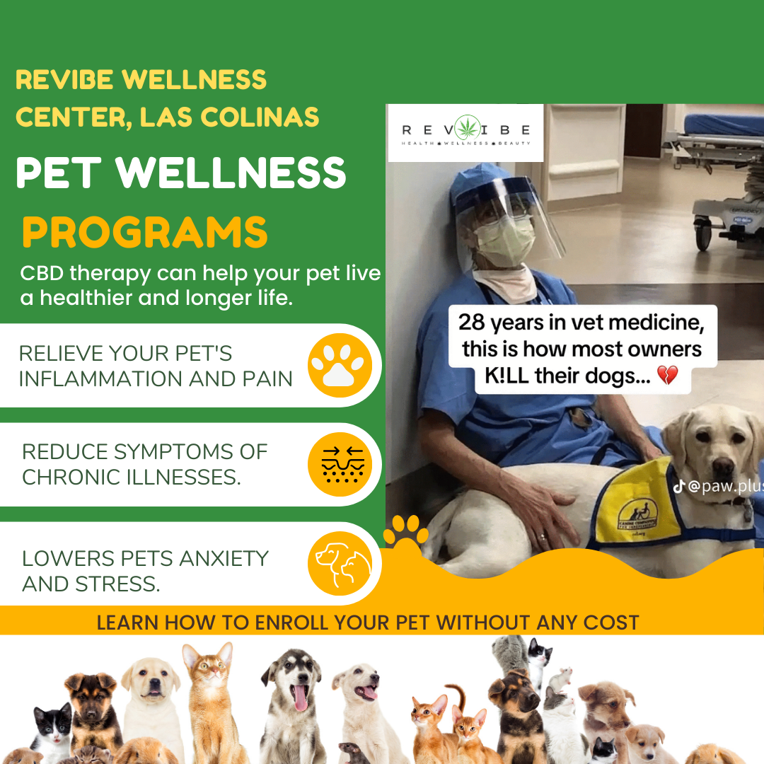 Broad-Spectrum Hemp-Derived CBD with Natural Ingredients for Your Pet’s Well-Being OMEGA-3-6