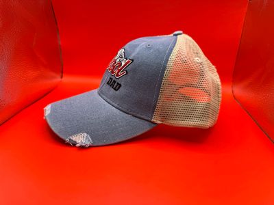 THE Cool DAD Distressed Trucker Hat – Vintage Blue &amp; Mesh Snapback