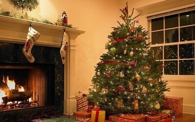 Christmas 🎄