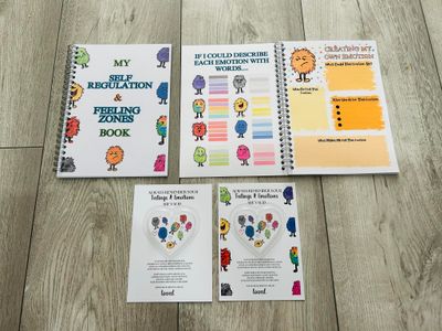 Self regulation and feelings zone book