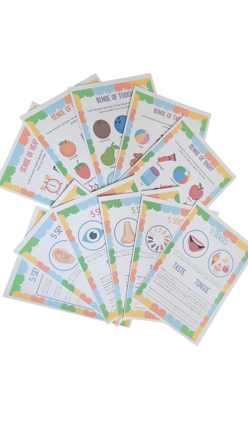 5 senses activity and trace a5 cards