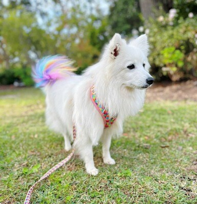 Walking
