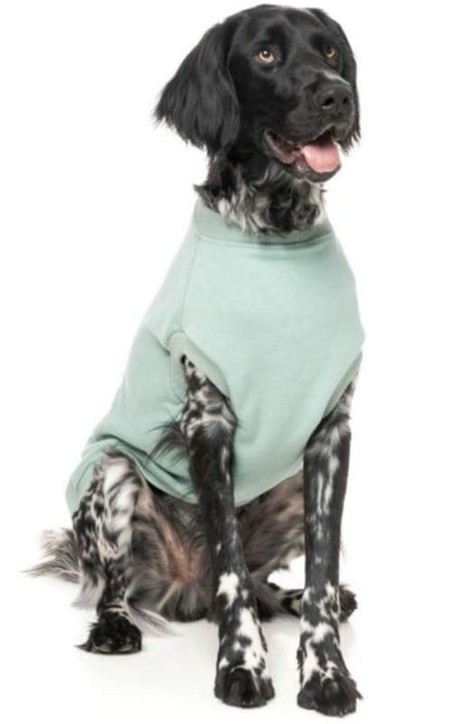 Allday Sweater - Mint