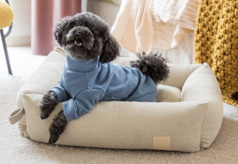 Life Pyjama French  Blue